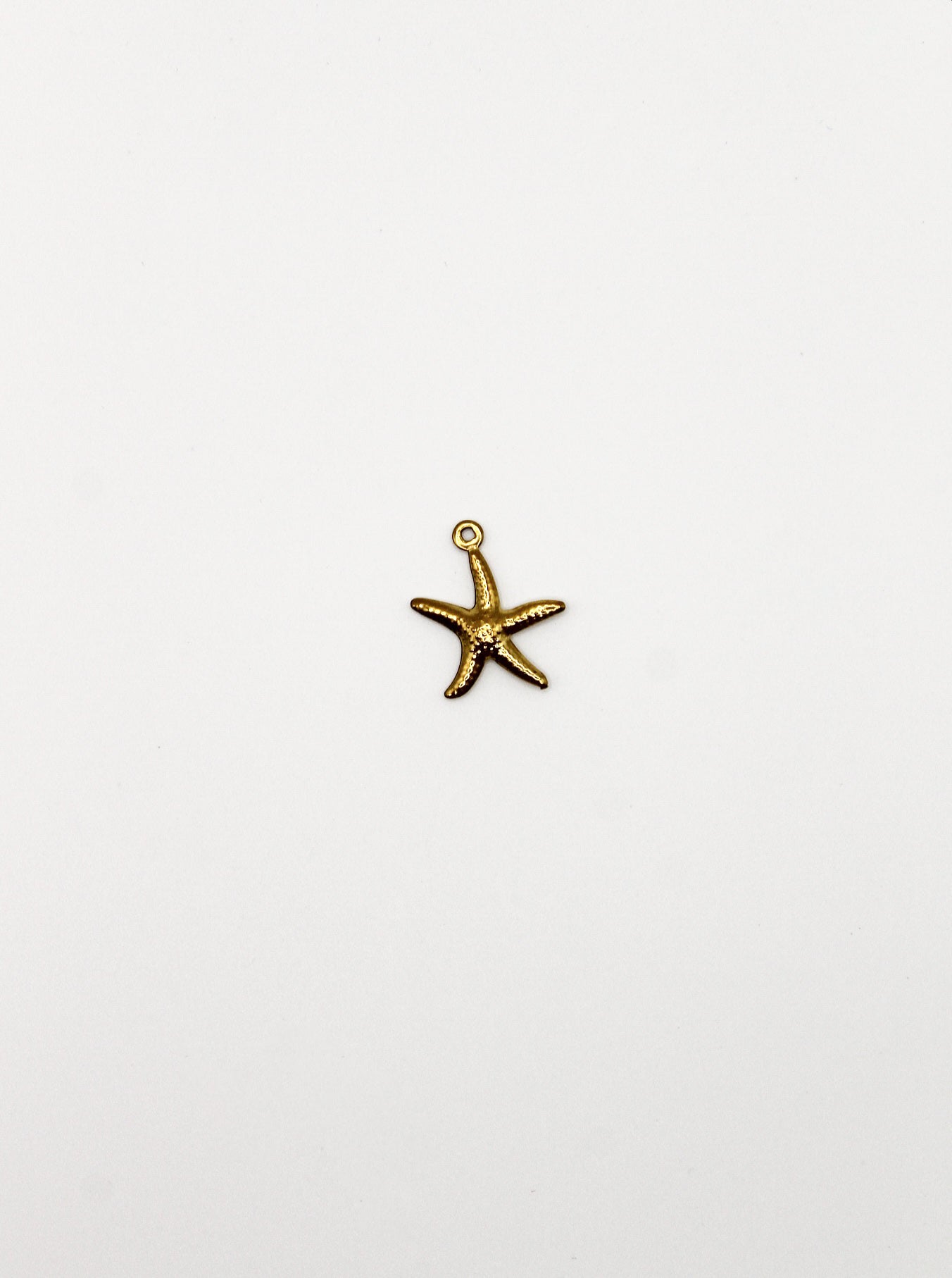 CHARM SEESTERN EDELSTAHL VERGOLDET