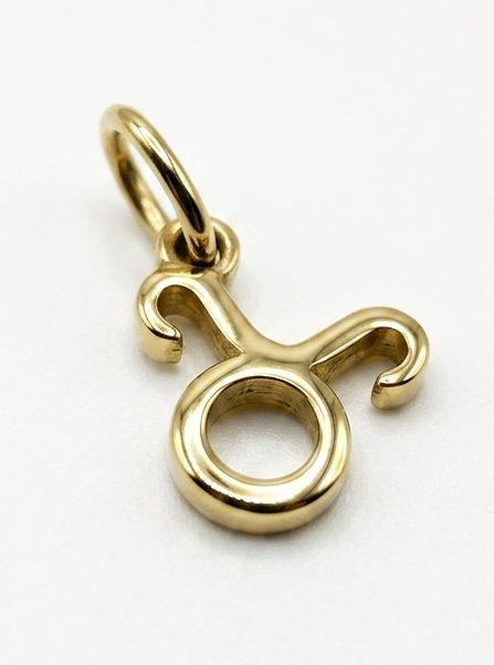 CHARM STERNZEICHEN EDELSTAHL VERGOLDET