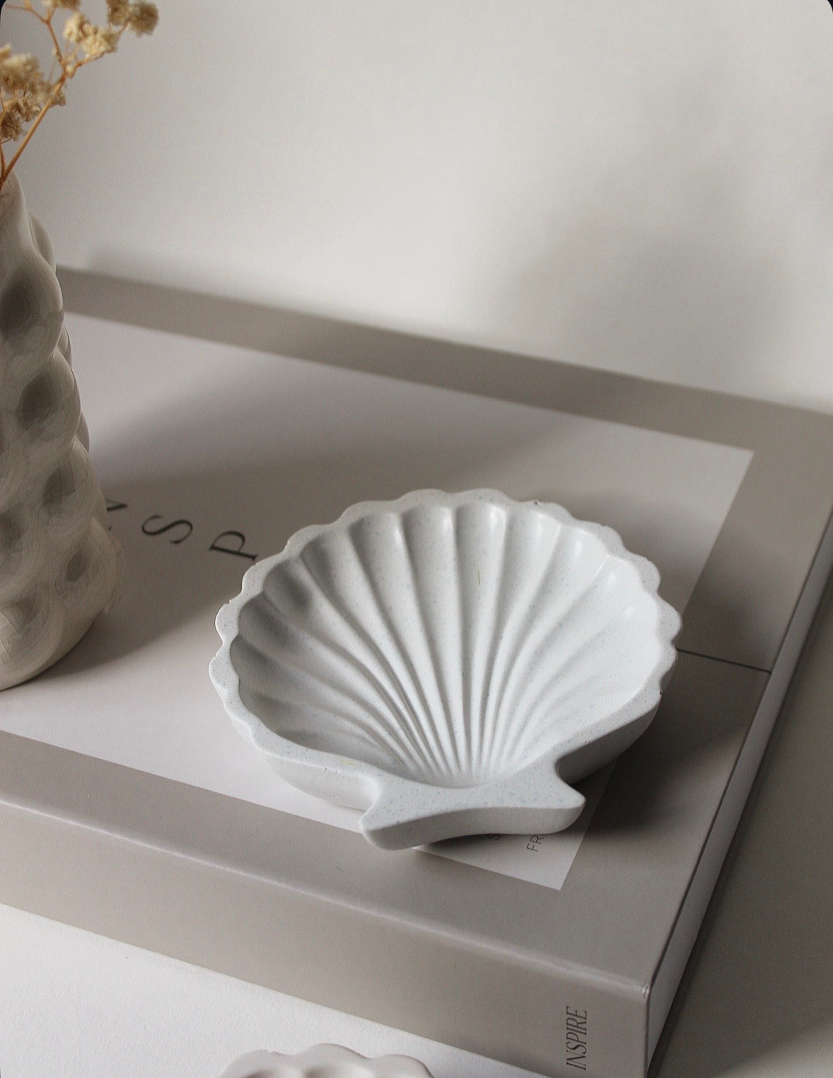 MUSCHELSCHALE