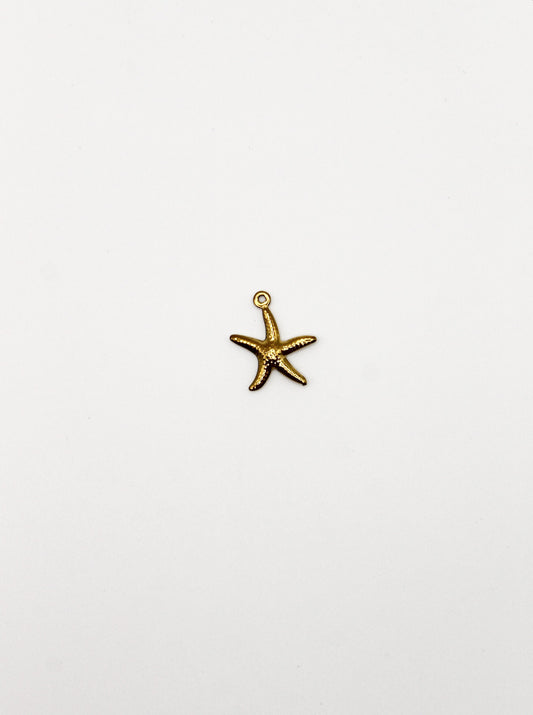 CHARM SEESTERN EDELSTAHL VERGOLDET