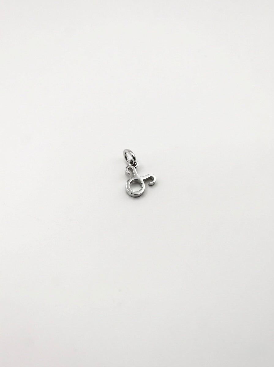 CHARM STERNZEICHEN EDELSTAHL