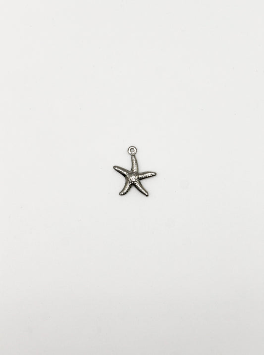 CHARM SEESTERN EDELSTAHL
