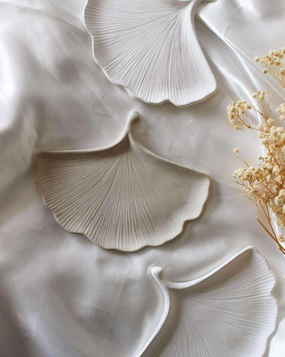 GINKGO BLATT SCHALE