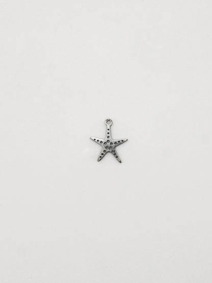 CHARM SEESTERN EDELSTAHL