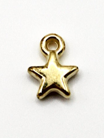 CHARM STERN EDELSTAHL VERGOLDET